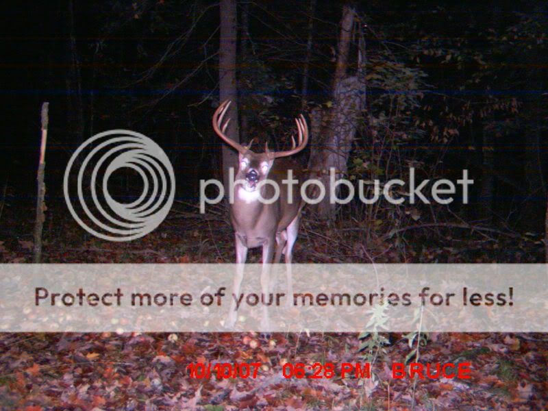 TrailcamDugOct07091.jpg