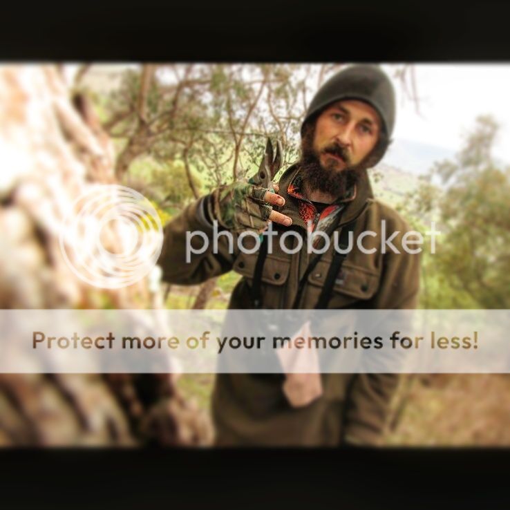 IMG_20150814_142916.jpg~original