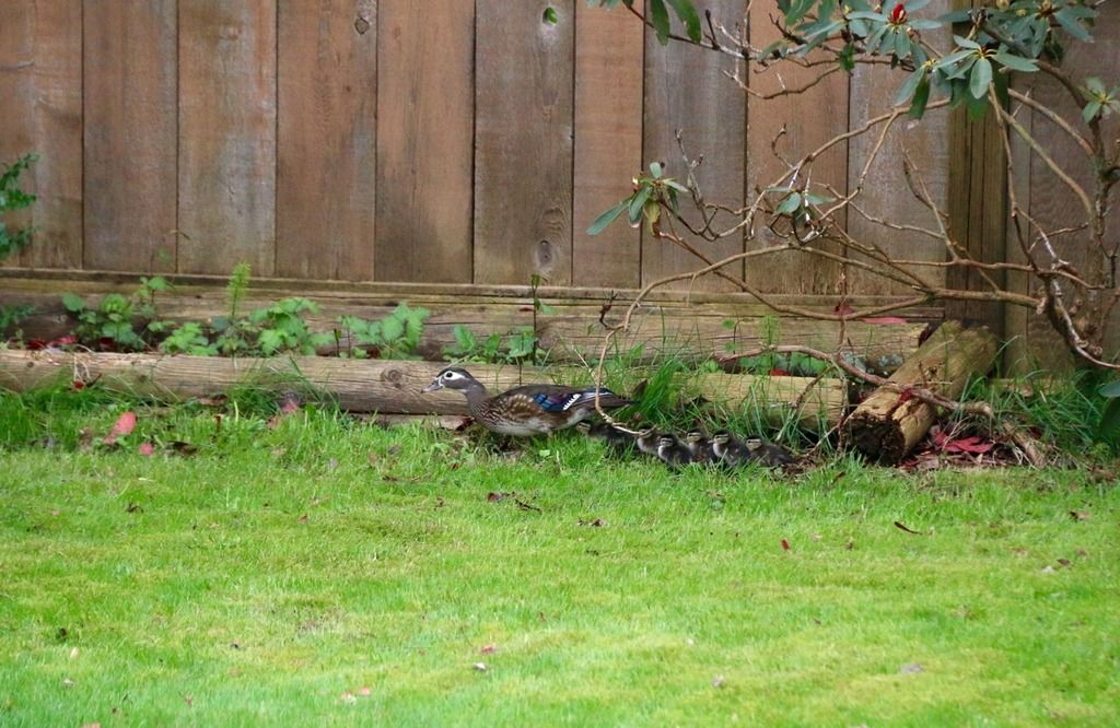 image_zpsa5yhtqm0.jpeg~original