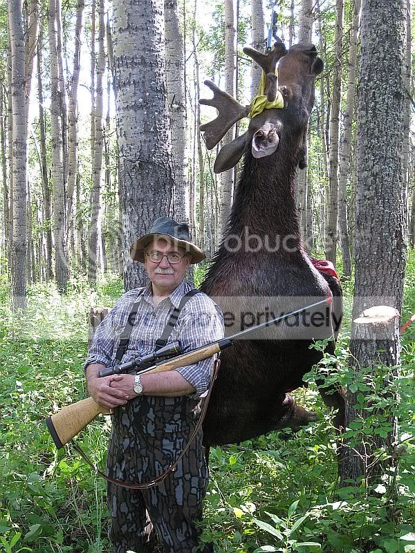 Moose20113.jpg