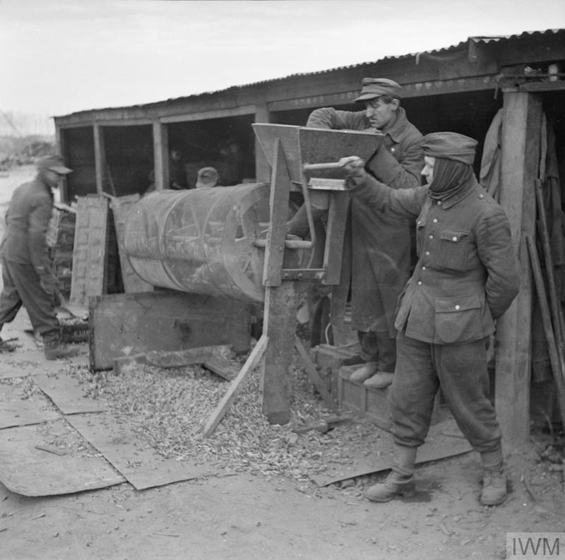 belgium1945powscartridgecases.jpg