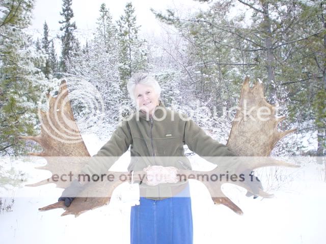Mygals2004moose.jpg