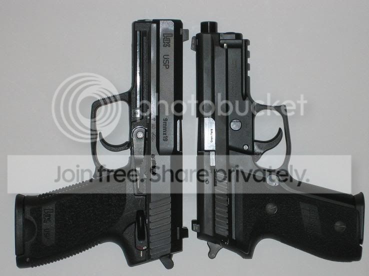 SIG26.jpg