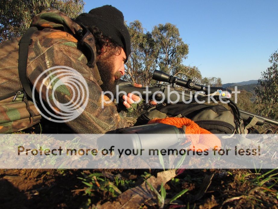 IMG_2501resized.jpg~original