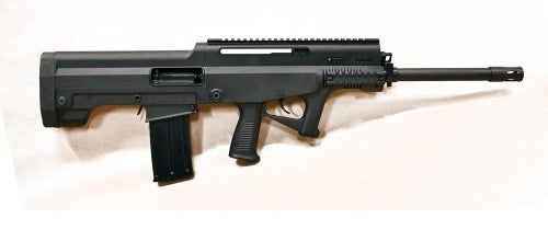 LA-K12-Puma1.jpg