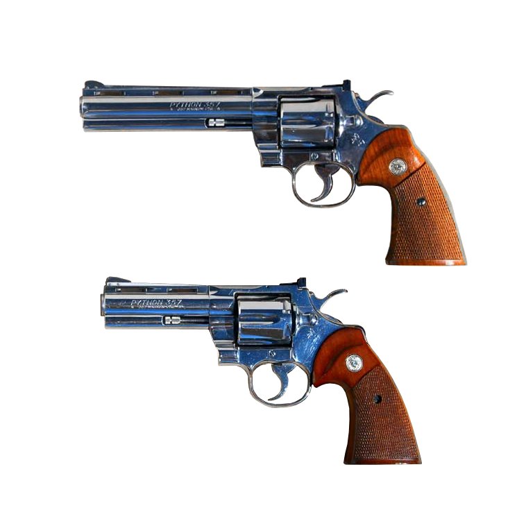 Python-nickel.jpg
