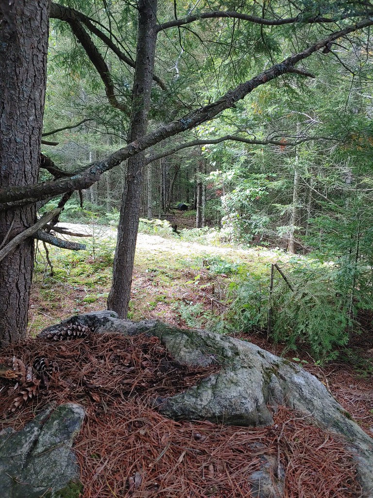 54770283371_53f0122d20_b.jpg