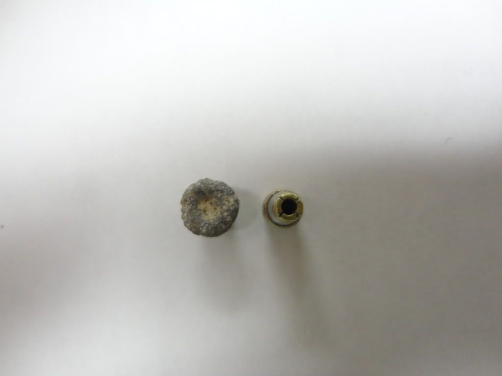 DSC01268.jpg