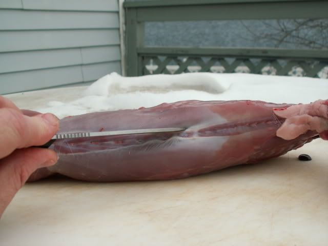 hareclean10.jpg