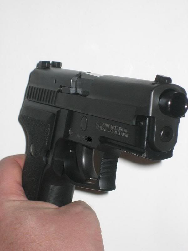 SIG12.jpg