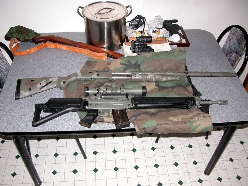 SigArms6-1.jpg
