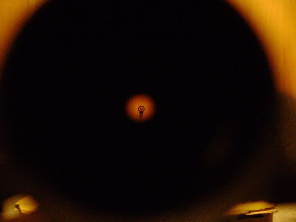 DSC00087.jpg