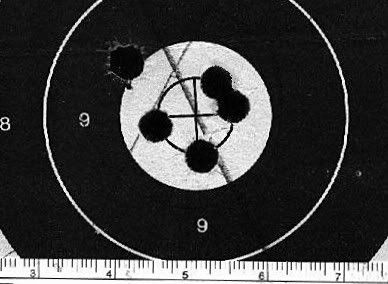 P53group.jpg