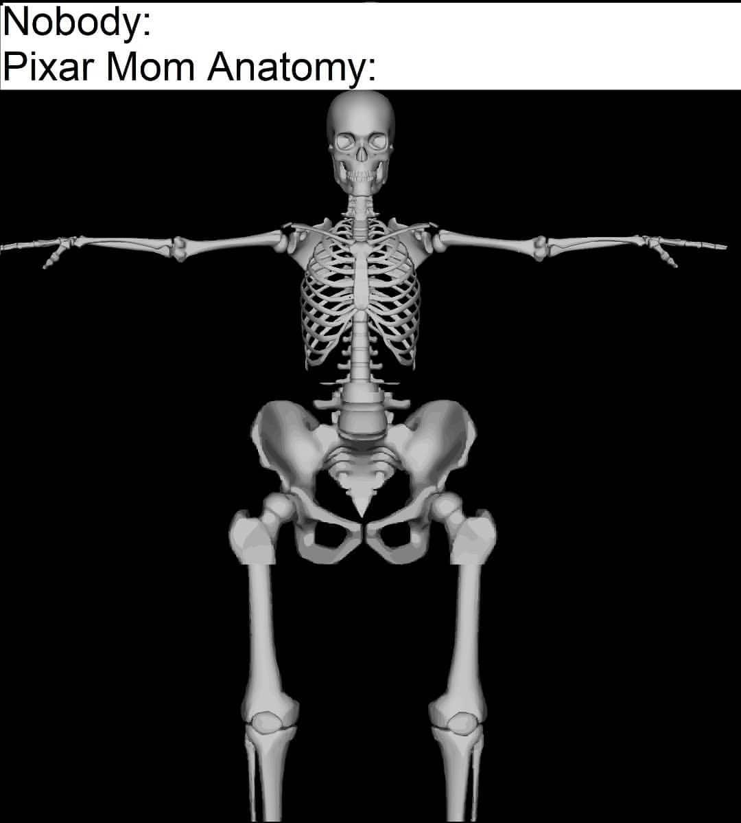 9ik5v5g5p39e1.jpeg