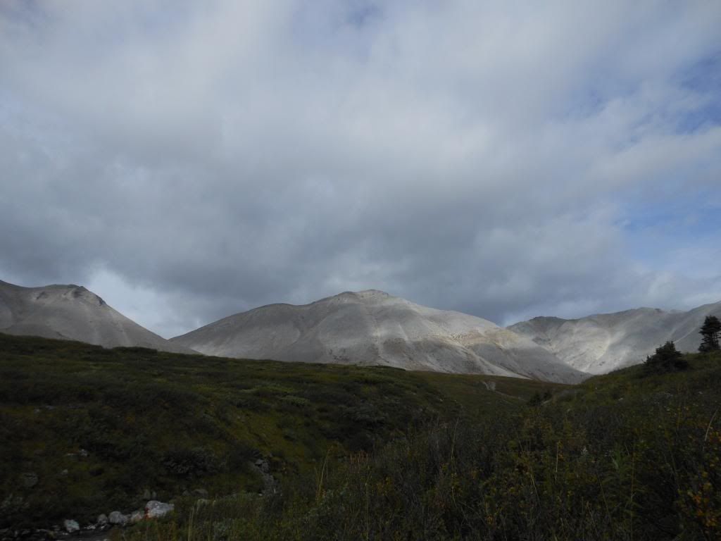 image-5.jpg