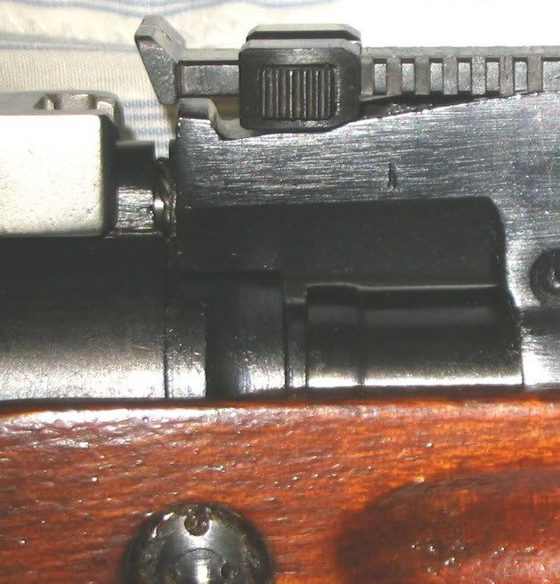 closeup.jpg