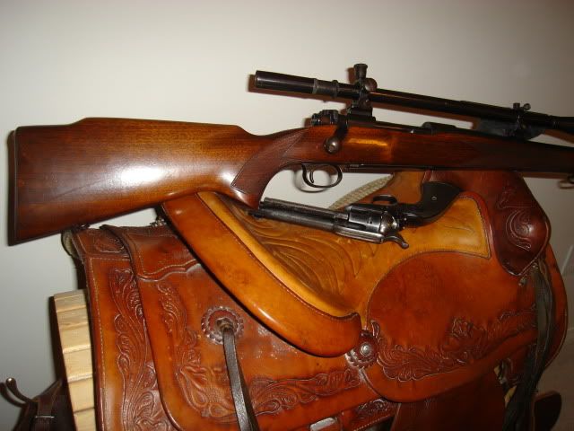 M70220Swift.jpg