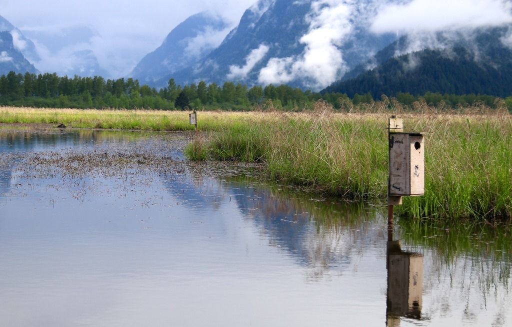 image_zpsi3iufisg.jpeg~original