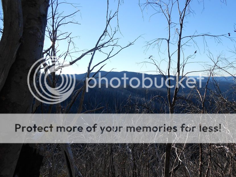 DSCN0774view1.jpg~original