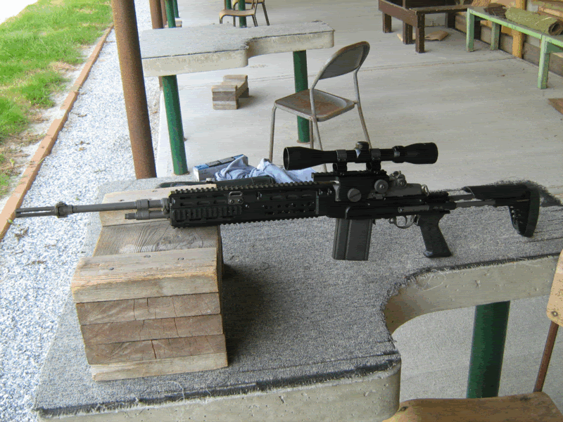 M14inSAGE3.gif