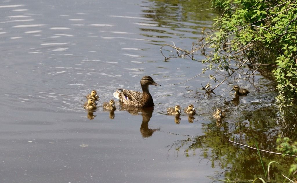 image_zps027hth1p.jpeg~original