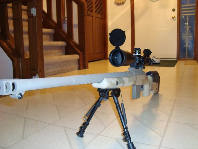 coyote005.jpg