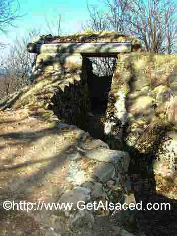 world-war-one-trenches-alsace-hartmannswillerkopf-web.jpg