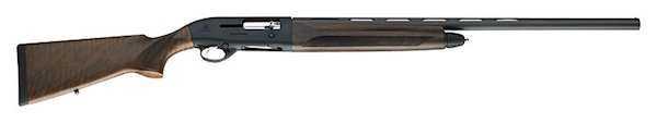 Jiy384s.jpg