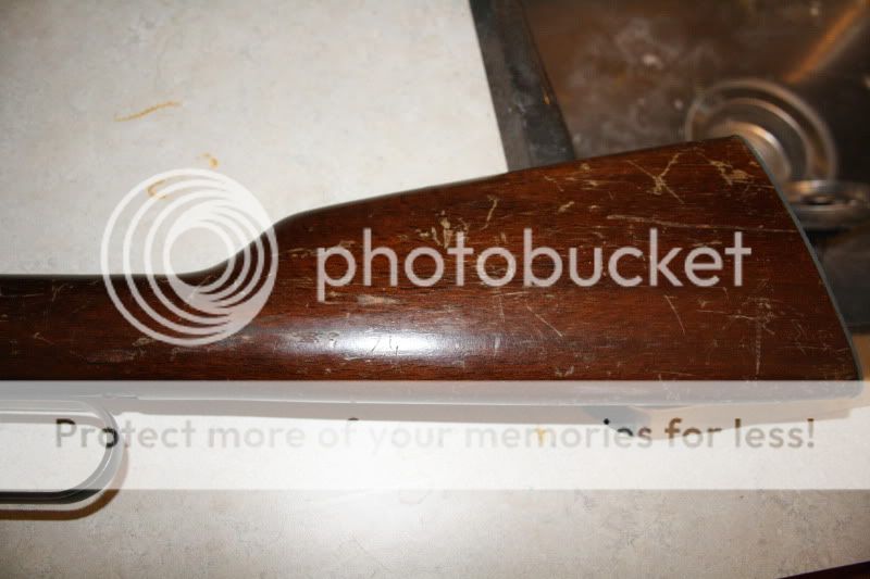 Newpics_0092.jpg