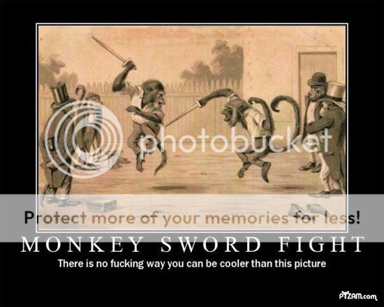 monkey.jpg