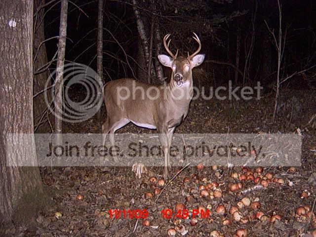 MDGC0015.jpg