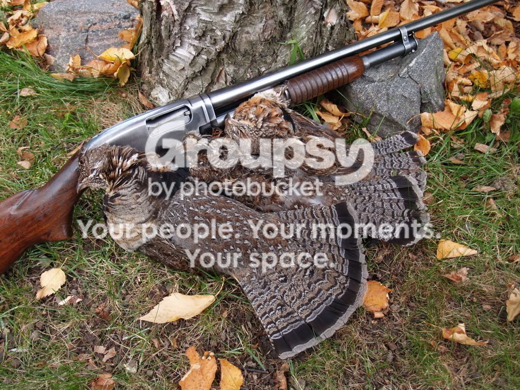 M12andGrouse.jpg