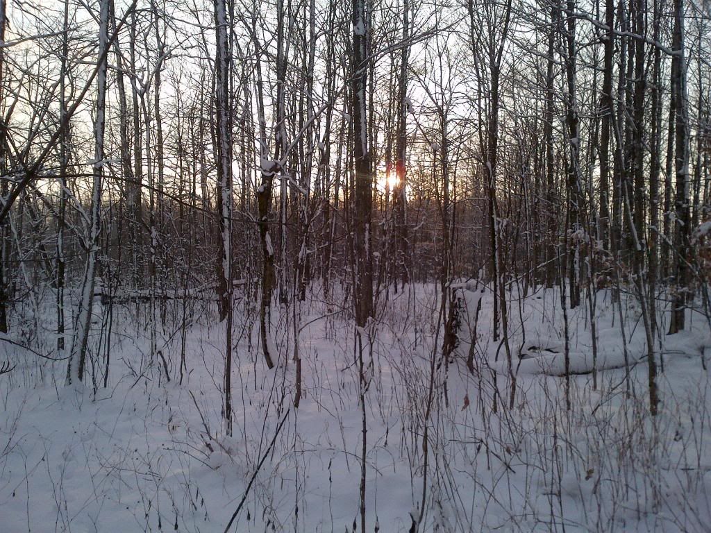 winter3_zps9592205b.jpg