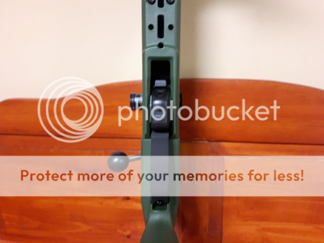 20190222_155859.jpg