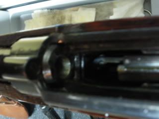IMGP0306.jpg