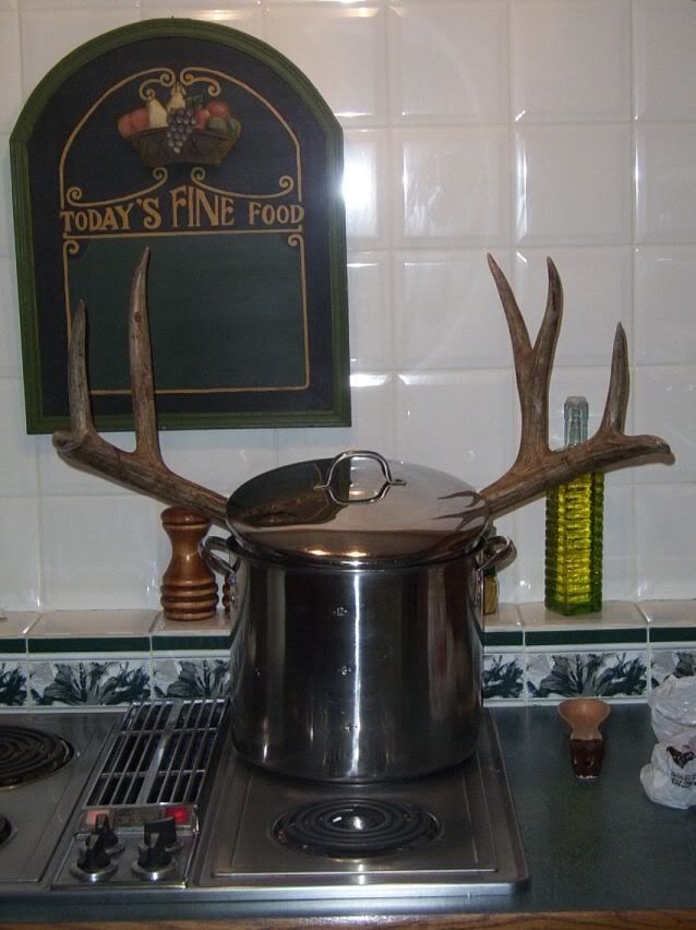 BuckSoup.jpg