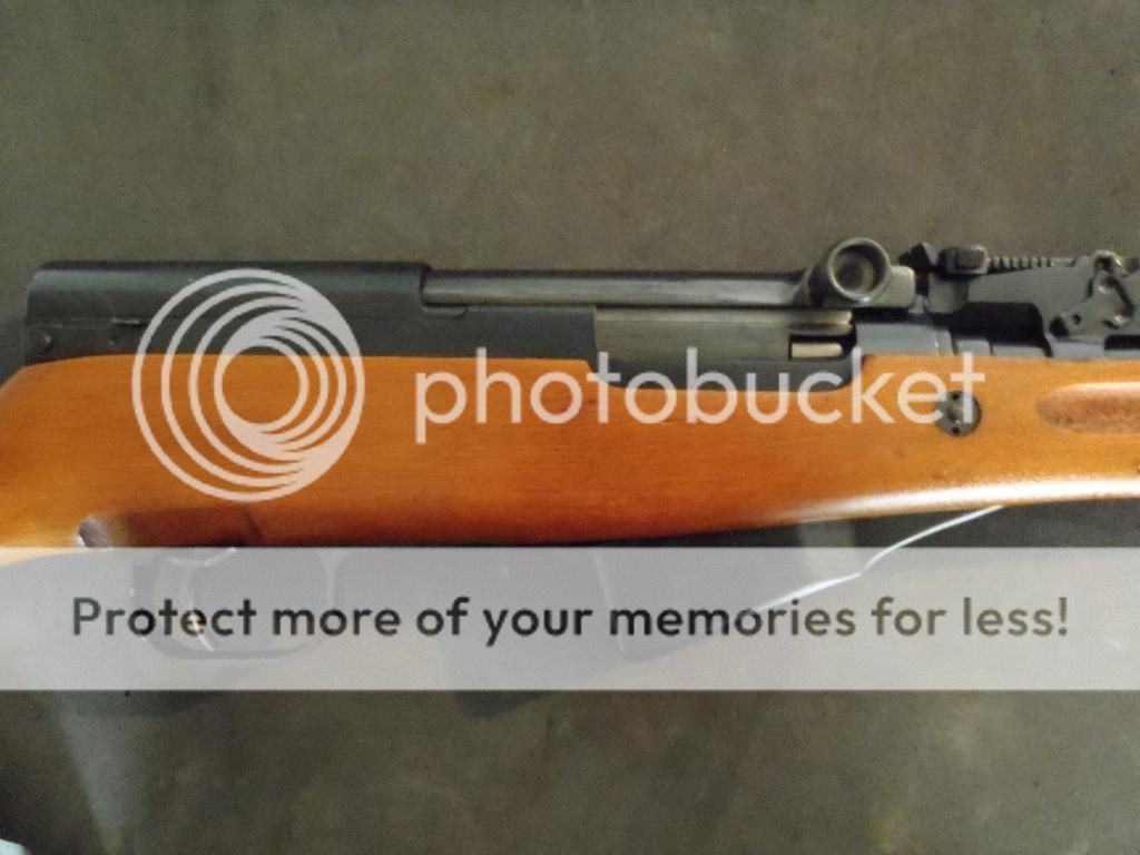 P5310029_zps196e4c2a.jpg