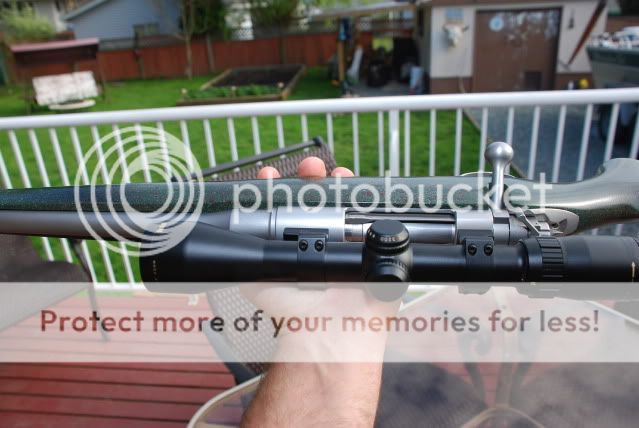 kimber7.jpg