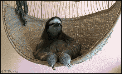 3Gob1.gif