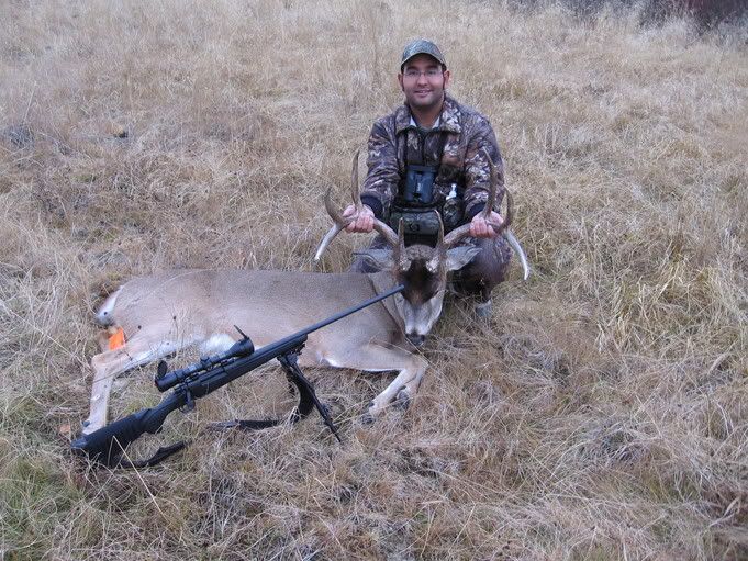 2005wmu337whitetail6.jpg