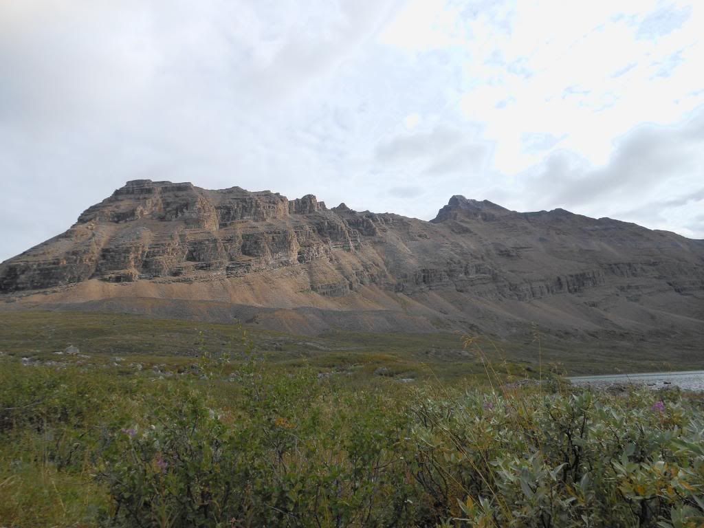 image-6.jpg