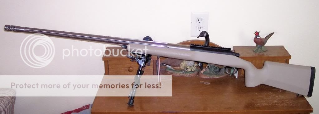 RF_41.jpg