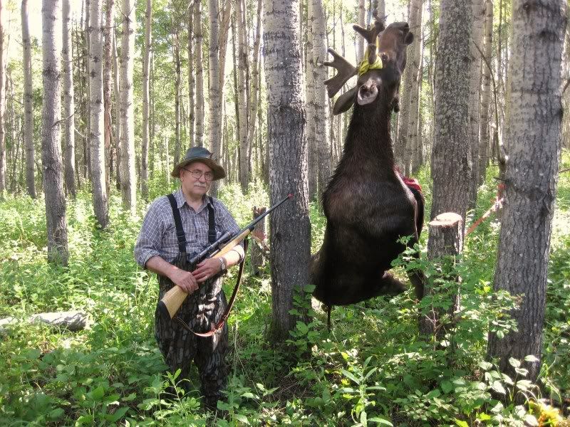 Moose2011.jpg