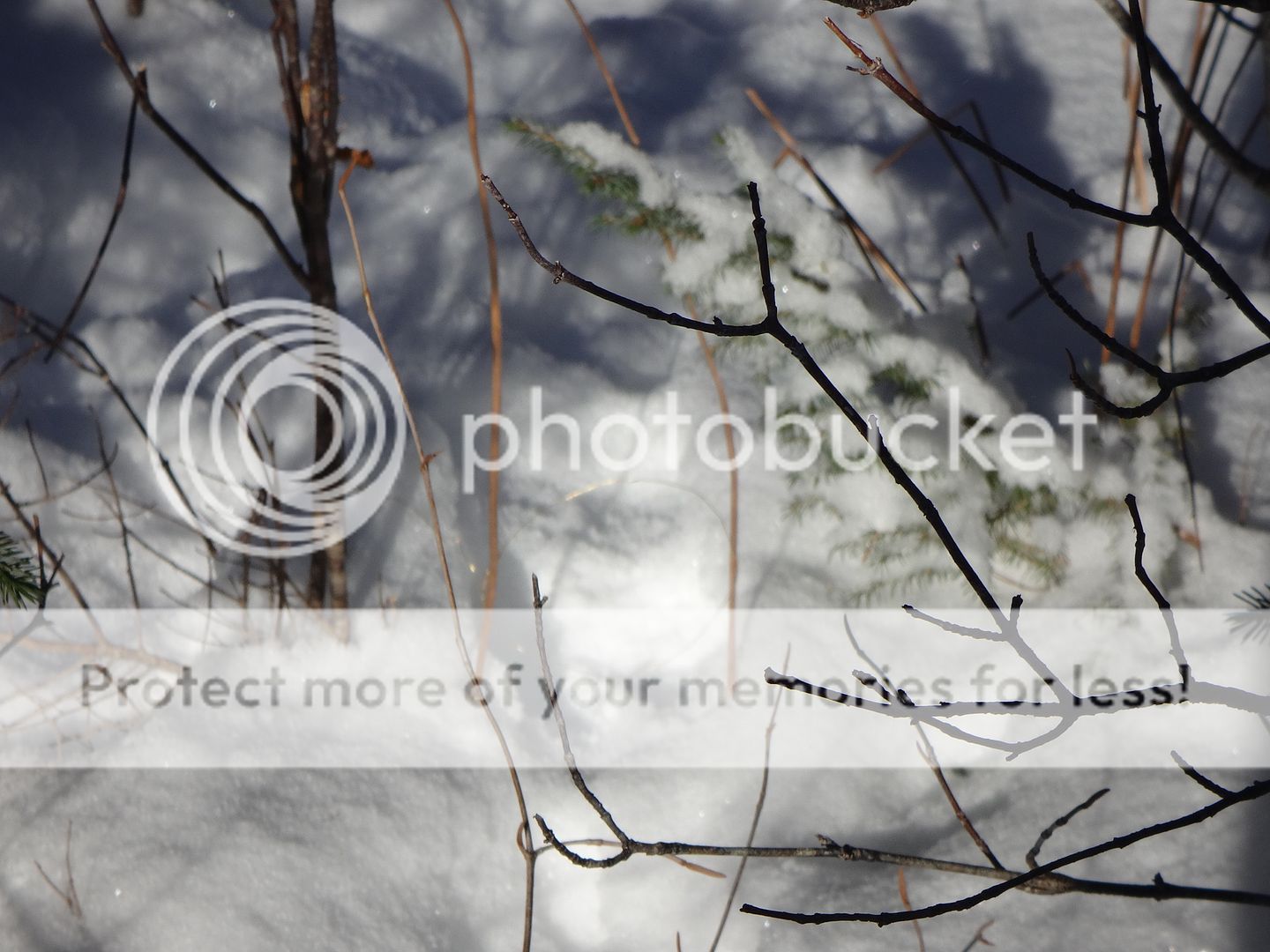 DSC06174_zpshwo2noxr.jpg~original