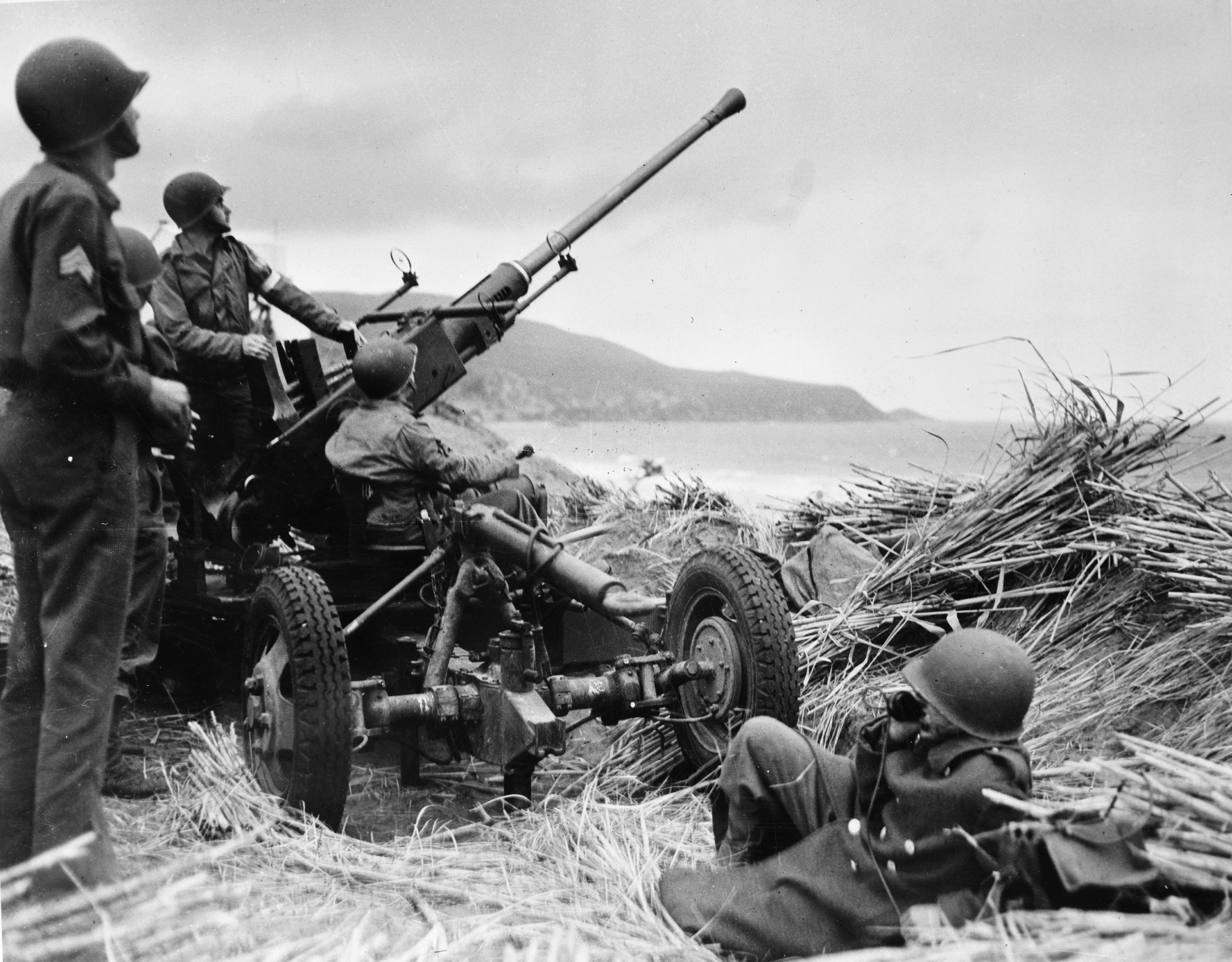 Bofors-aa-gun-algeria.jpg
