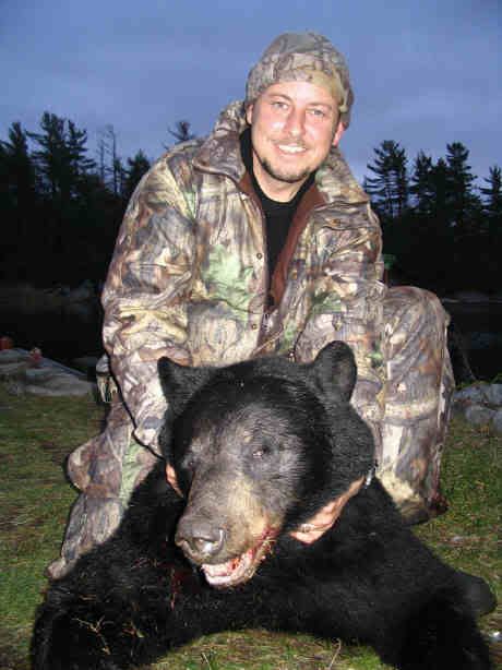 bear2_2_1.jpg