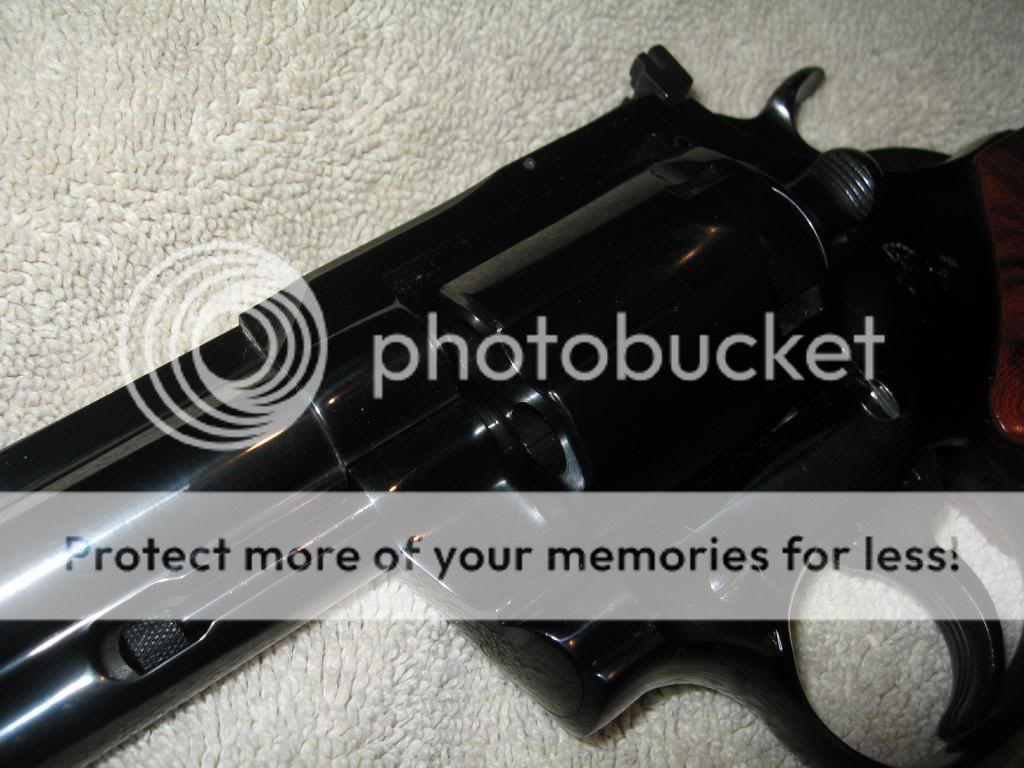 IMG_0585_zpse1ff33f8.jpg