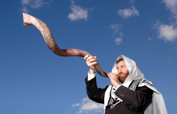 shutterstock1812986.jpg
