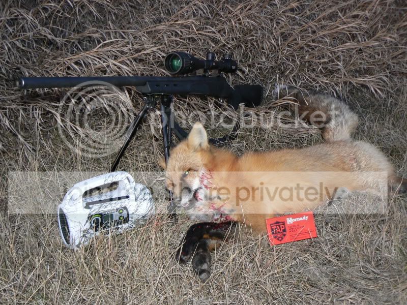 foxpro003.jpg