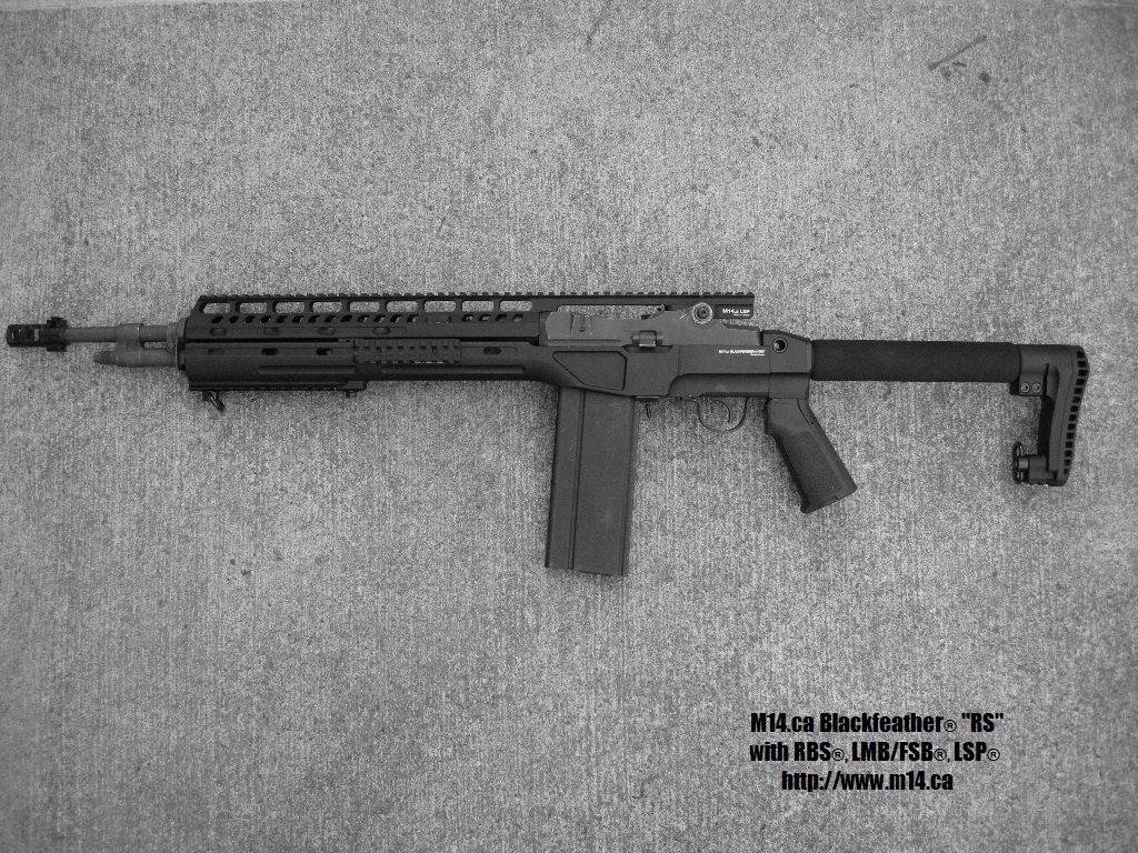Blackfeather_RS_LSP_RBS_LMB_3.jpg